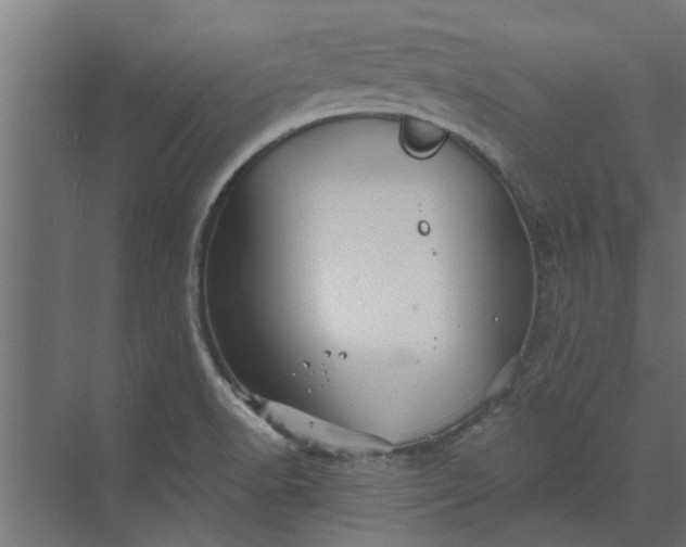 X0000073851518200608241029