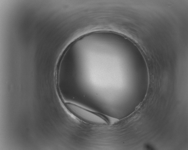 X0000073851519200608241029