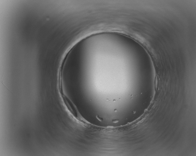 X0000073851520200608241029