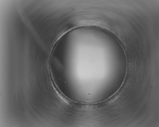 X0000073851521200608241029