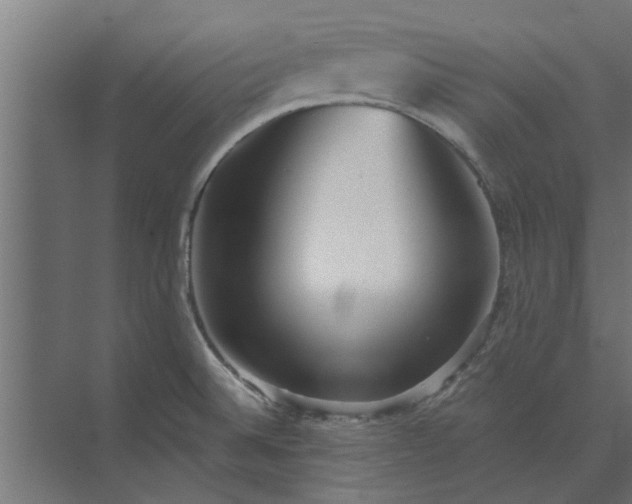 X0000073851524200608241029