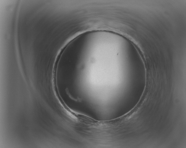 X0000073851525200608241029