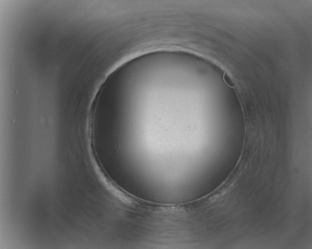 X0000073851526200608241029