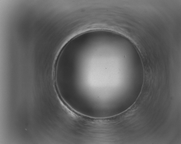 X0000073851527200608241029