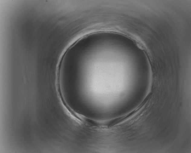 X0000073851528200608241029