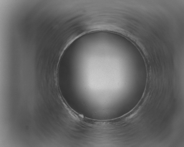 X0000073851529200608241029