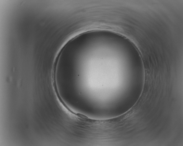 X0000073851531200608241029