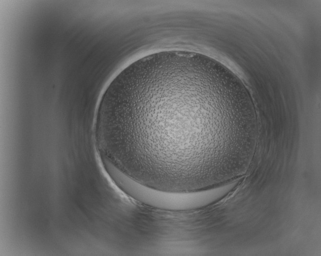 X0000073851536200608241030