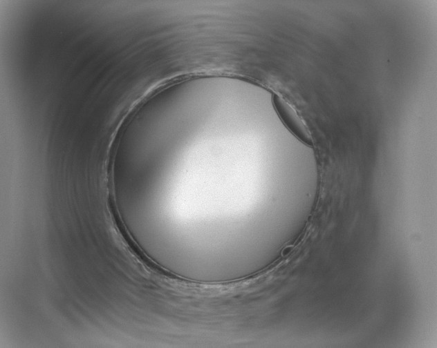 X0000073850002200608312013