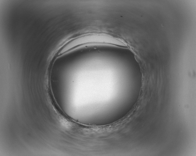 X0000073850005200608312012