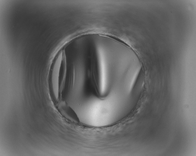 X0000073850007200608312012