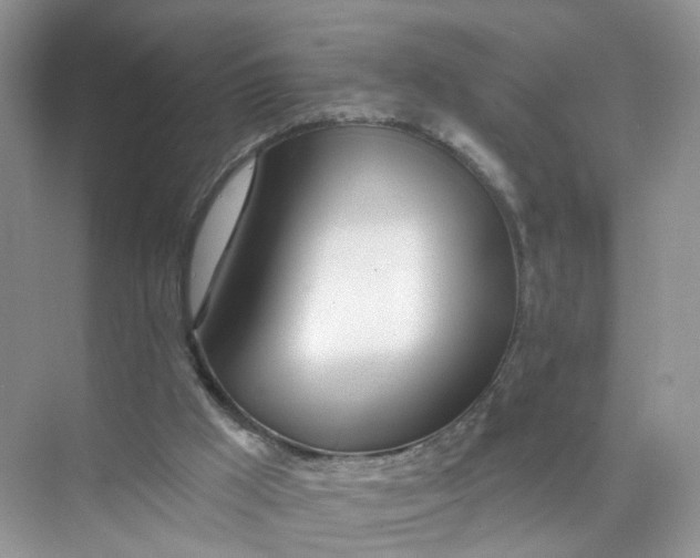 X0000073850009200608312012