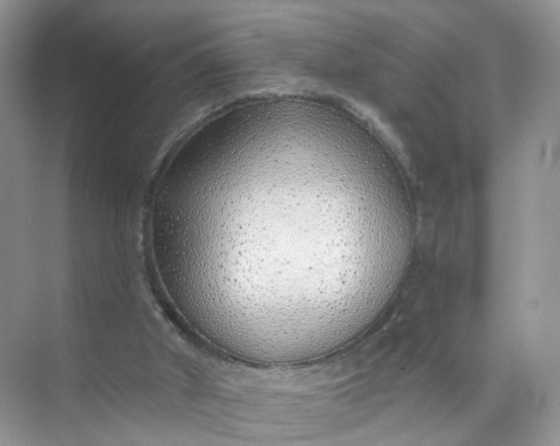 X0000073850010200608312012