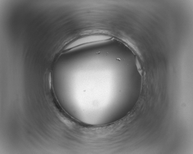 X0000073850013200608312012