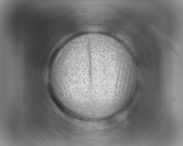 X0000073850016200608312012