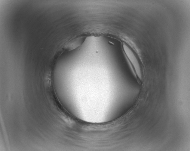 X0000073850017200608312012