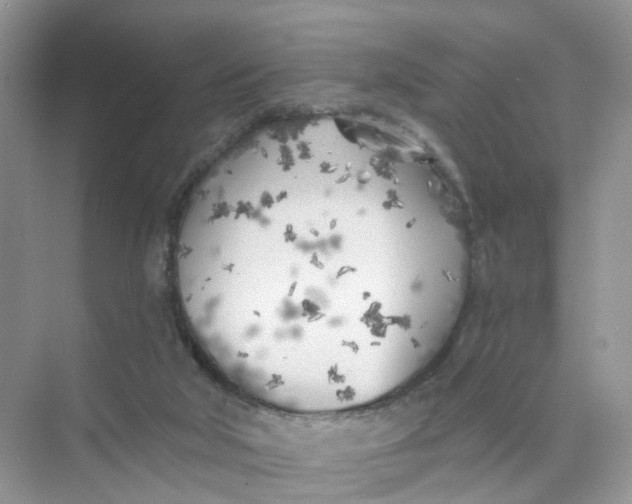 X0000073850018200608312012