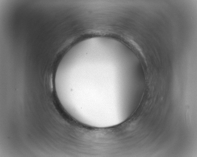 X0000073850020200608312012