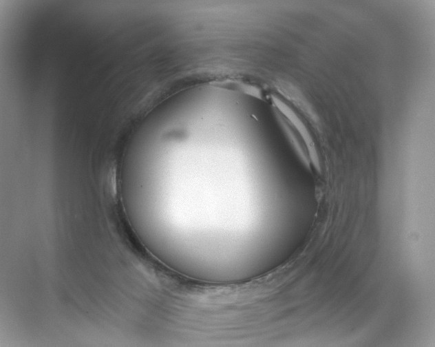 X0000073850021200608312012