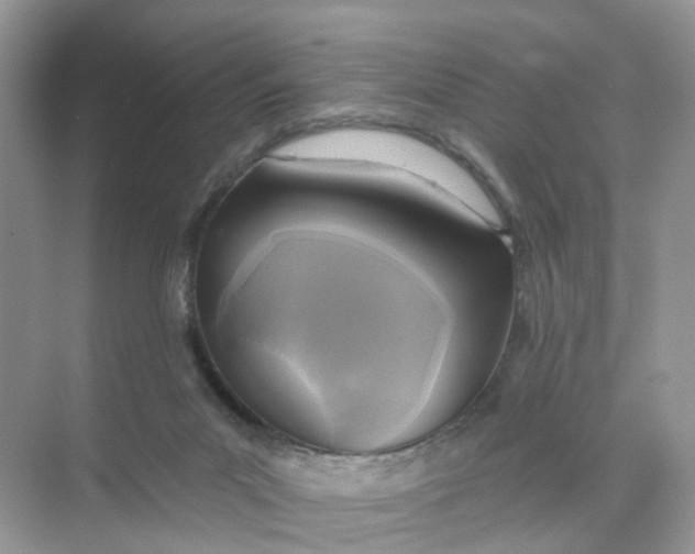 X0000073850023200608312012