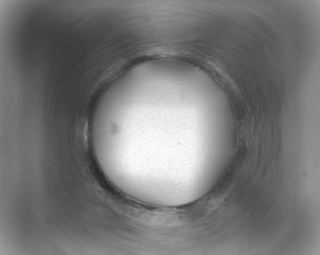 X0000073850024200608312012