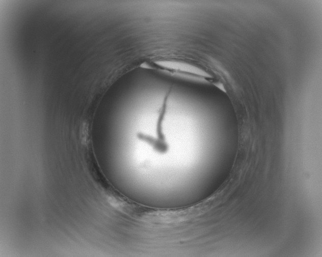 X0000073850025200608312012