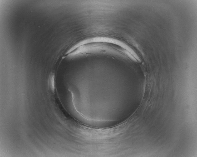 X0000073850027200608312012