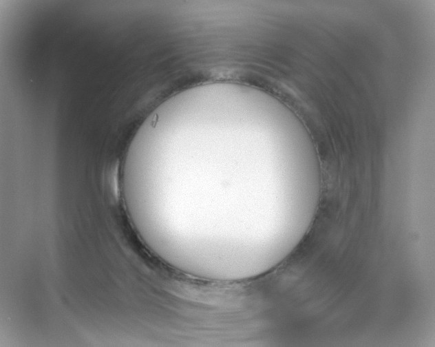 X0000073850028200608312012