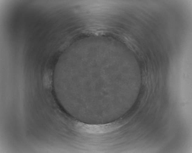 X0000073850030200608312012