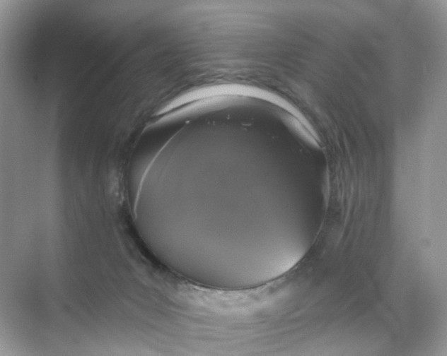 X0000073850031200608312012