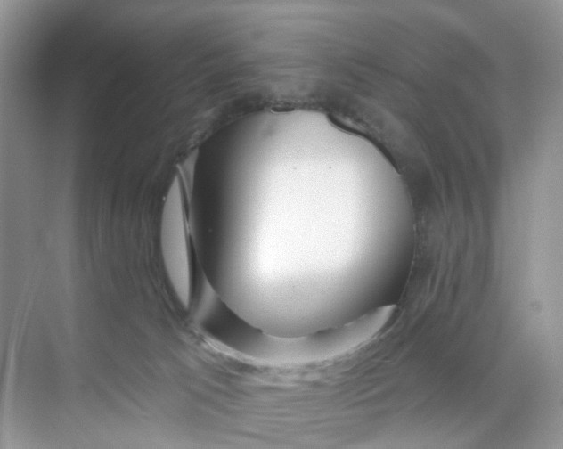 X0000073850033200608312012