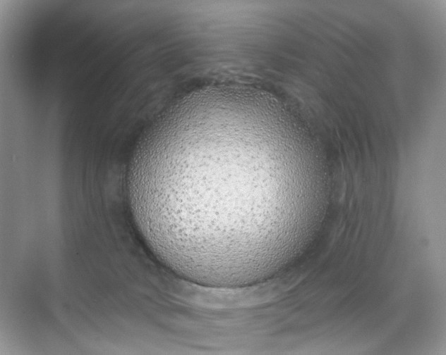 X0000073850034200608312012