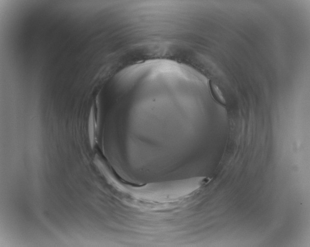 X0000073850035200608312012