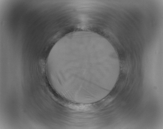 X0000073850036200608312012