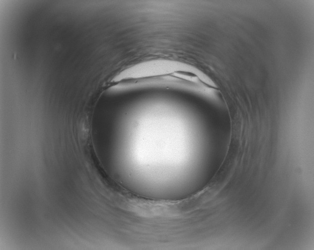 X0000073850040200608312012