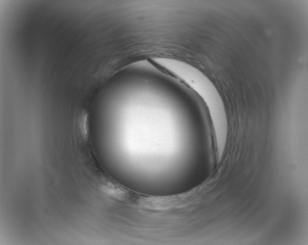 X0000073850041200608312012