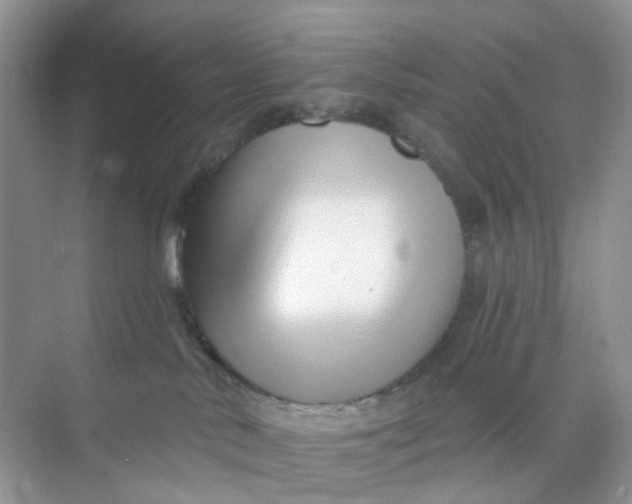 X0000073850042200608312012