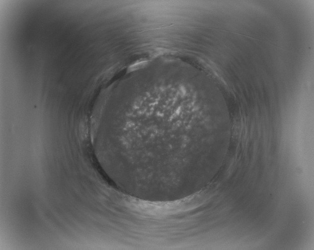 X0000073850043200608312012