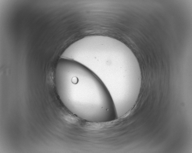 X0000073850045200608312012