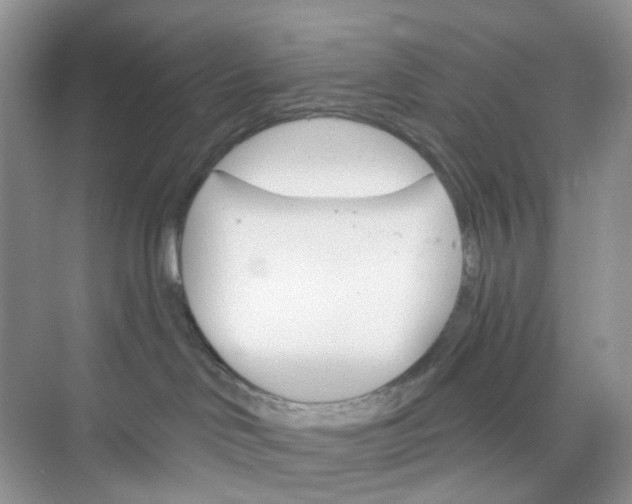 X0000073850046200608312012