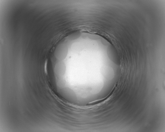 X0000073850047200608312012