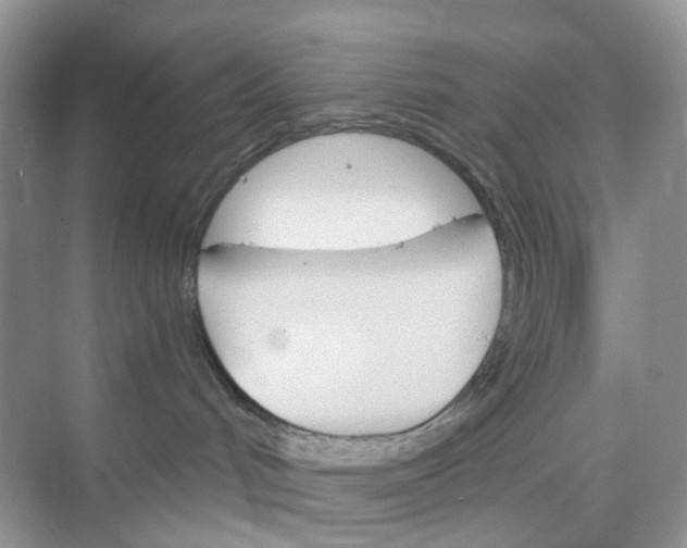 X0000073850048200608312012