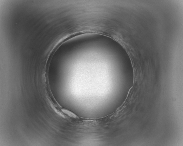 X0000073850050200608312011