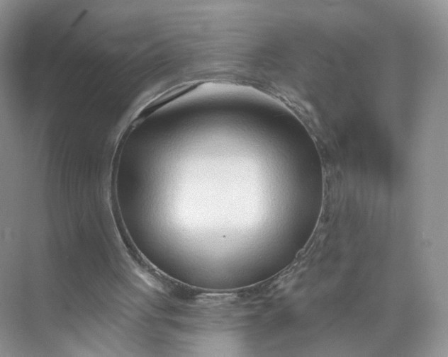 X0000073850051200608312011