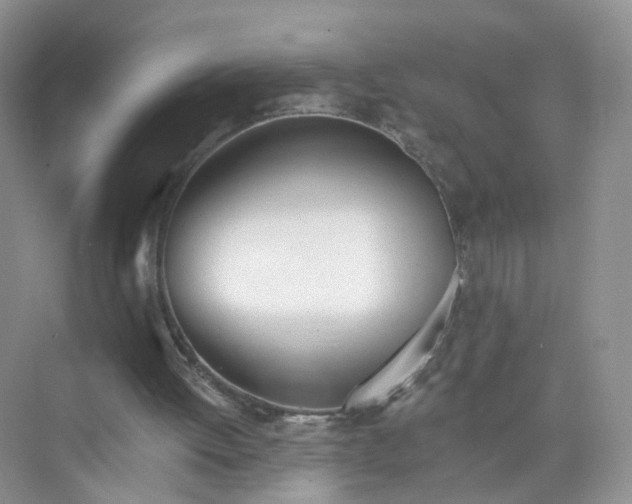 X0000073850052200608312011