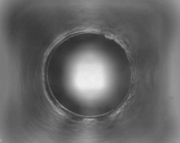 X0000073850055200608312011