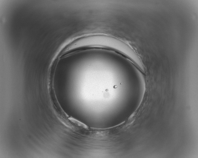 X0000073850056200608312011