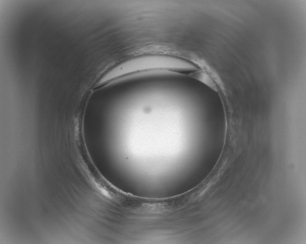 X0000073850057200608312011