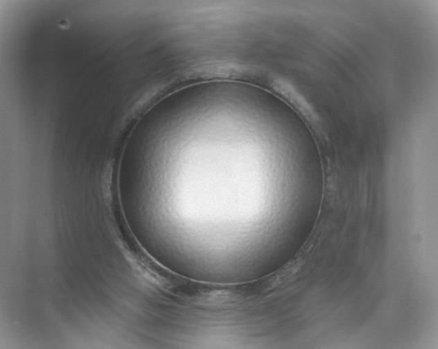 X0000073850058200608312011