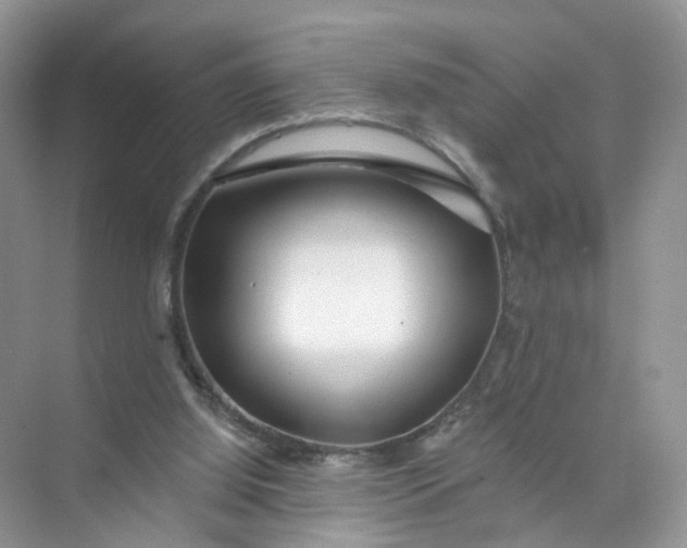 X0000073850060200608312011